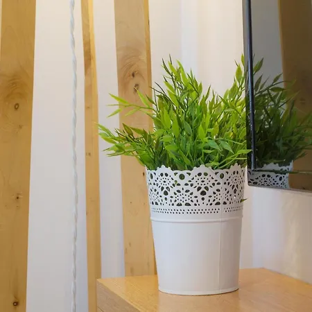 Apartment Rozeta - Zakopane