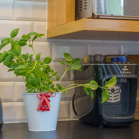 Apartmán Rozeta - *